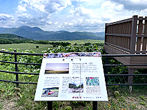 uV畽v